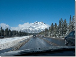 IMG_0006-2