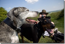 Biscuit and Max