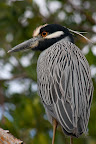 12-28-09_3683