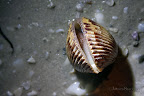 12-28-09_3347