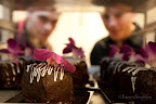02-12-10_5456