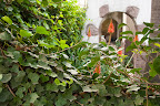 10-23-09_0496