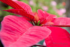 12-23-09_1250