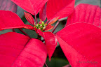 12-23-09_1257