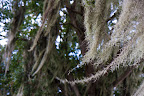 12-23-09_1347