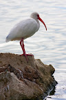 12-23-09_1591