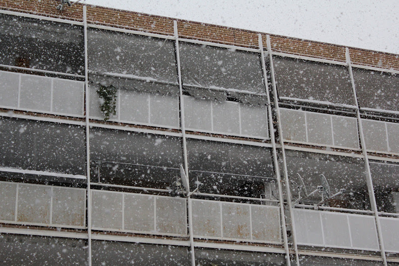 Vel nevat davant la façana