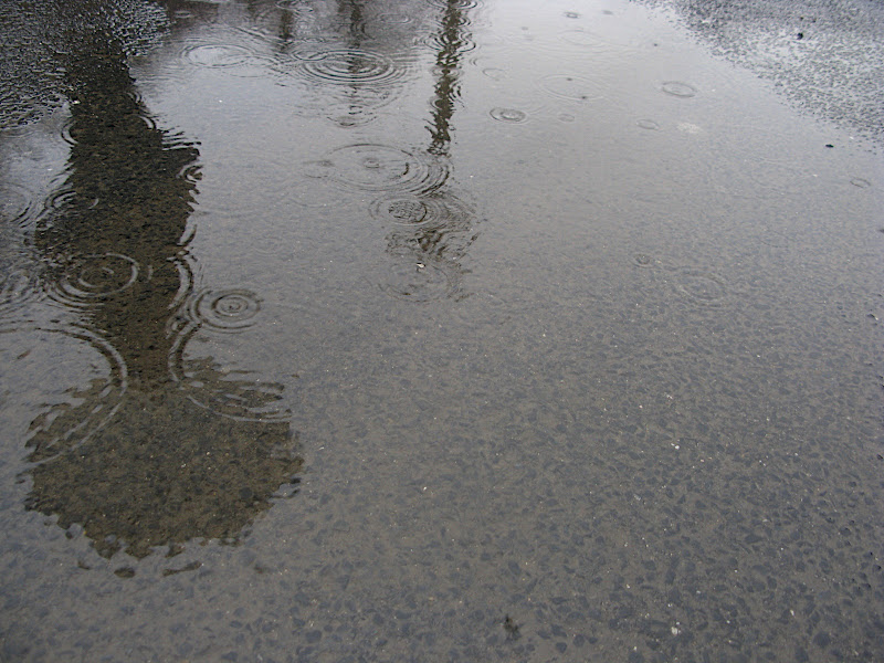 Silueta amb paraigües reflexada al bassal