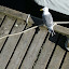 DSCF9610.JPG