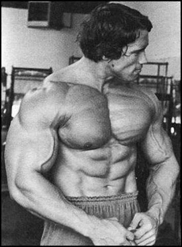 arnold schwarzenegger bodybuilding diet. diet which consisted of large