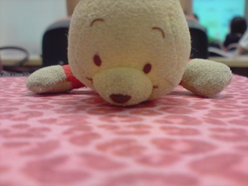 P260509_15.35[01]