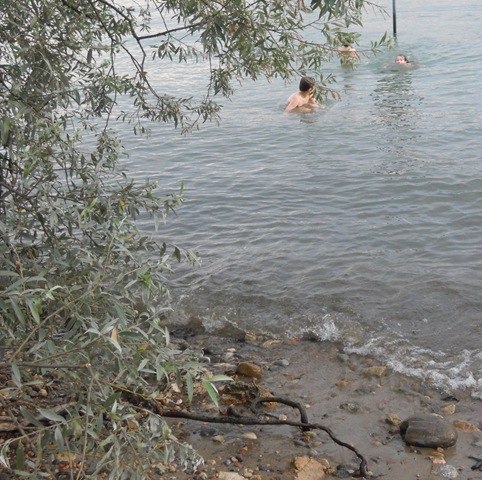 [DSCN21784.jpg]