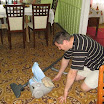 _mini-IMG_3051.JPG