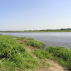 _mini-P5264280.JPG