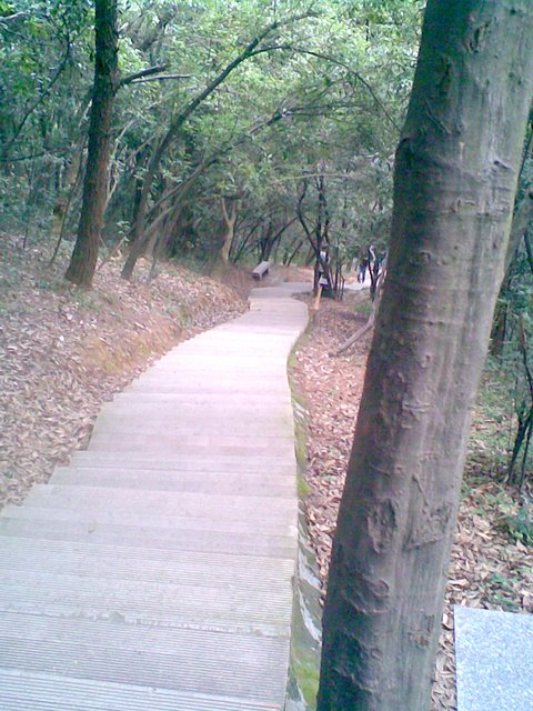 台阶