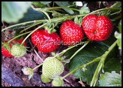 september 053