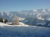 2011-01-03 13.38.13.jpg Photo