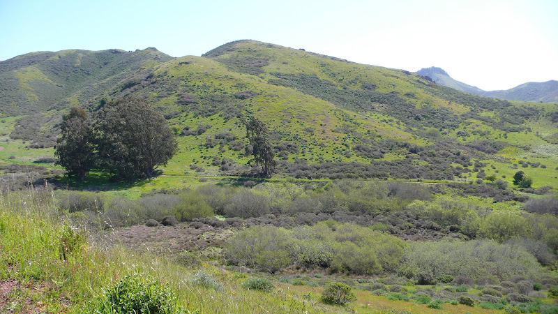 the mountain is green the mountain is green