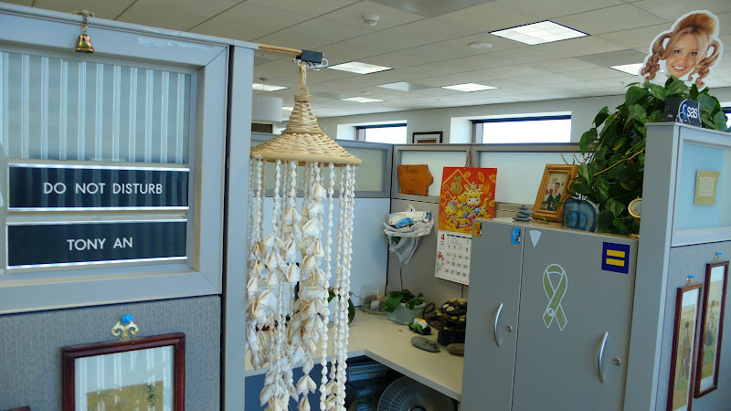 it is my cubicle now it is my cubicle now