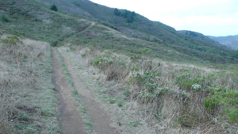 trail