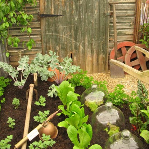 [garden 5[4].jpg]