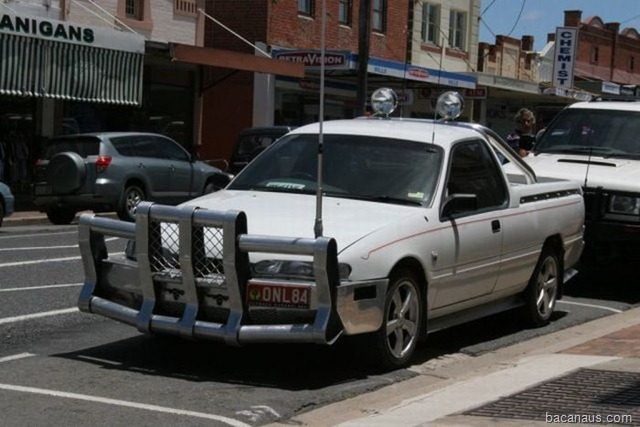 [auto009[2].jpg]