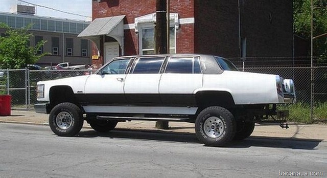 [auto013[2].jpg]