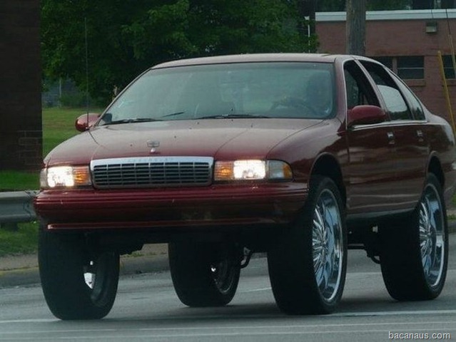 [auto028[2].jpg]
