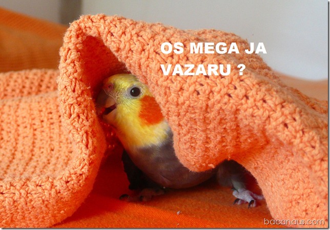 bacanaus-imagem-do-dia (13)