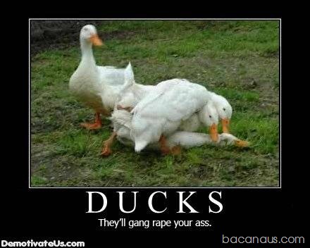 [surprise-buttsex-04[2].jpg]