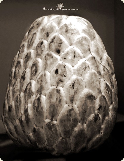 atis-bw