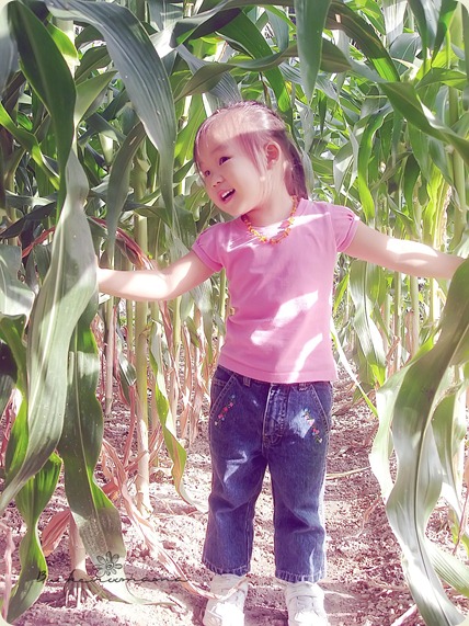 zoe-corn3a zoe-corn3a