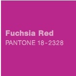 [Pantone Spring Summer Color 18-2328 Fuchsia Red[2].jpg]