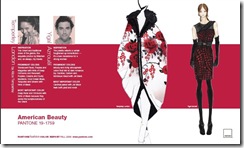 PANTONE_FCR_FALL09_American_Beauty_1759 PANTONE_FCR_FALL09_American_Beauty_1759
