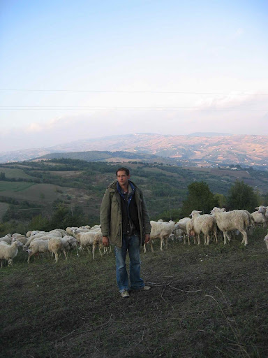 Shepherding, Molise Shepherding, Molise
