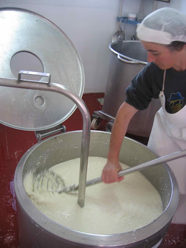 Carmela Breaks the Cheese Curd, Molise