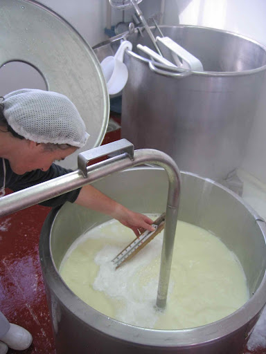 Checking the Whey's Rising Temperature to Make Ricotta, Molise