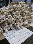 vakantie 2009 zomer 156.jpg
