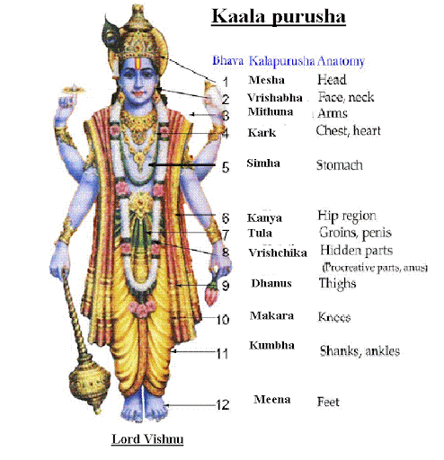 Table on Body Parts Related to Zodiacal Signs or Rashis Table on Body Parts Related to Zodiacal Signs or Rashis
