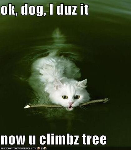 [funny-pictures-cat-swimming-fetch-stick[3].jpg]