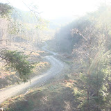 DSC02090.JPG