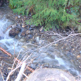 DSC02093.JPG