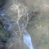 DSC02095.JPG