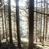 DSC02119.JPG