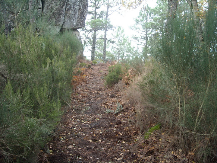 DSCN1021.JPG