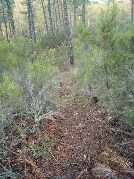 DSCN1037.JPG
