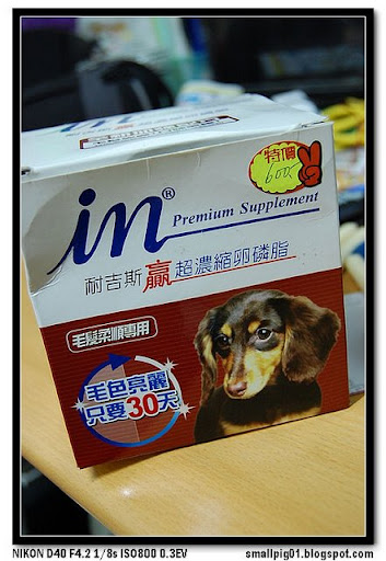 [DOG] MIMI的寵物用品