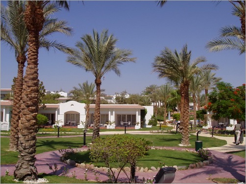 Sharm3