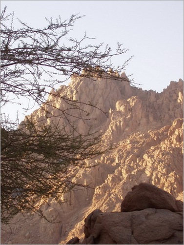 Sharm6
