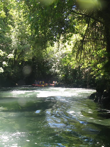 NZ - Kaituna River